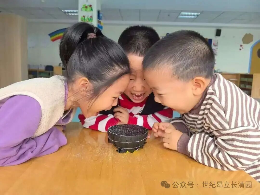 62f1885e91a2e96cfb301fbb9302ed1f Ag亚洲集团(中国游)官方网站