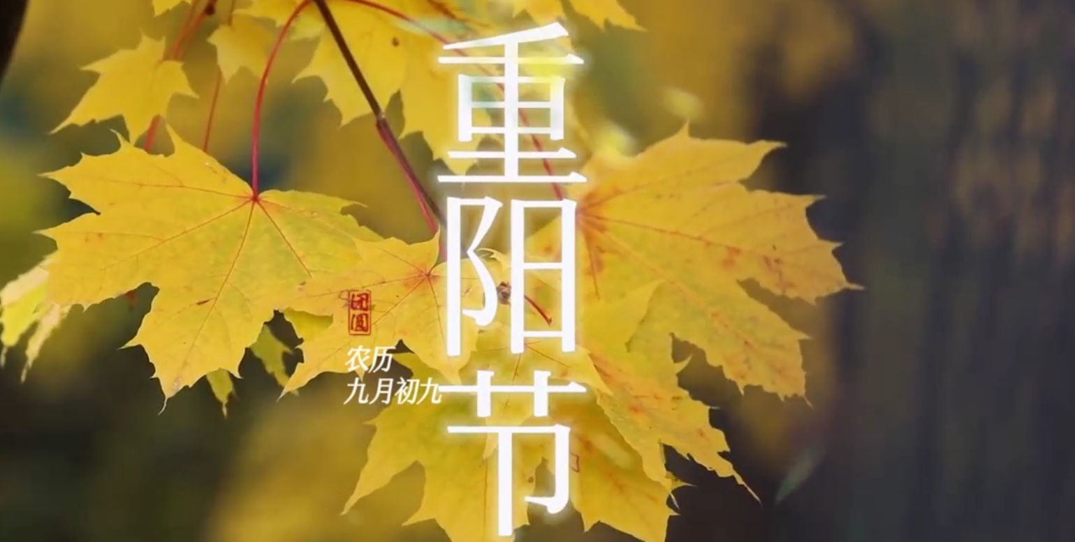 Ag亚洲集团(中国游)官方网站