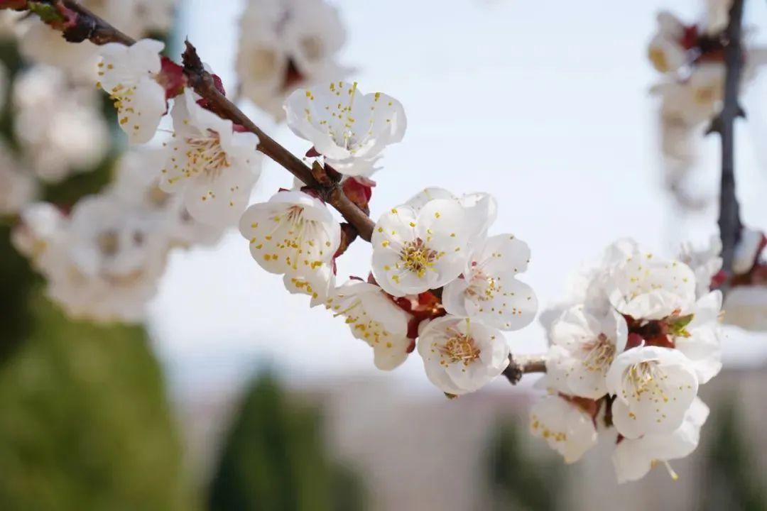 Ag亚洲集团(中国游)官方网站