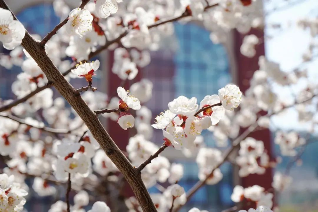 Ag亚洲集团(中国游)官方网站