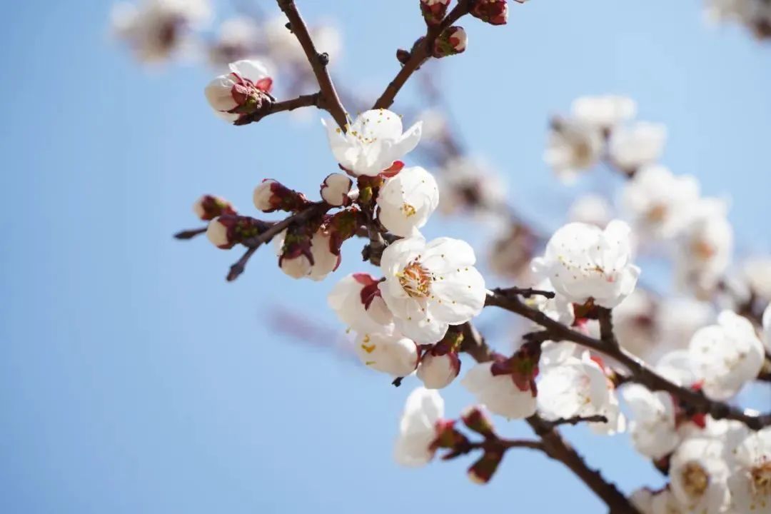 Ag亚洲集团(中国游)官方网站