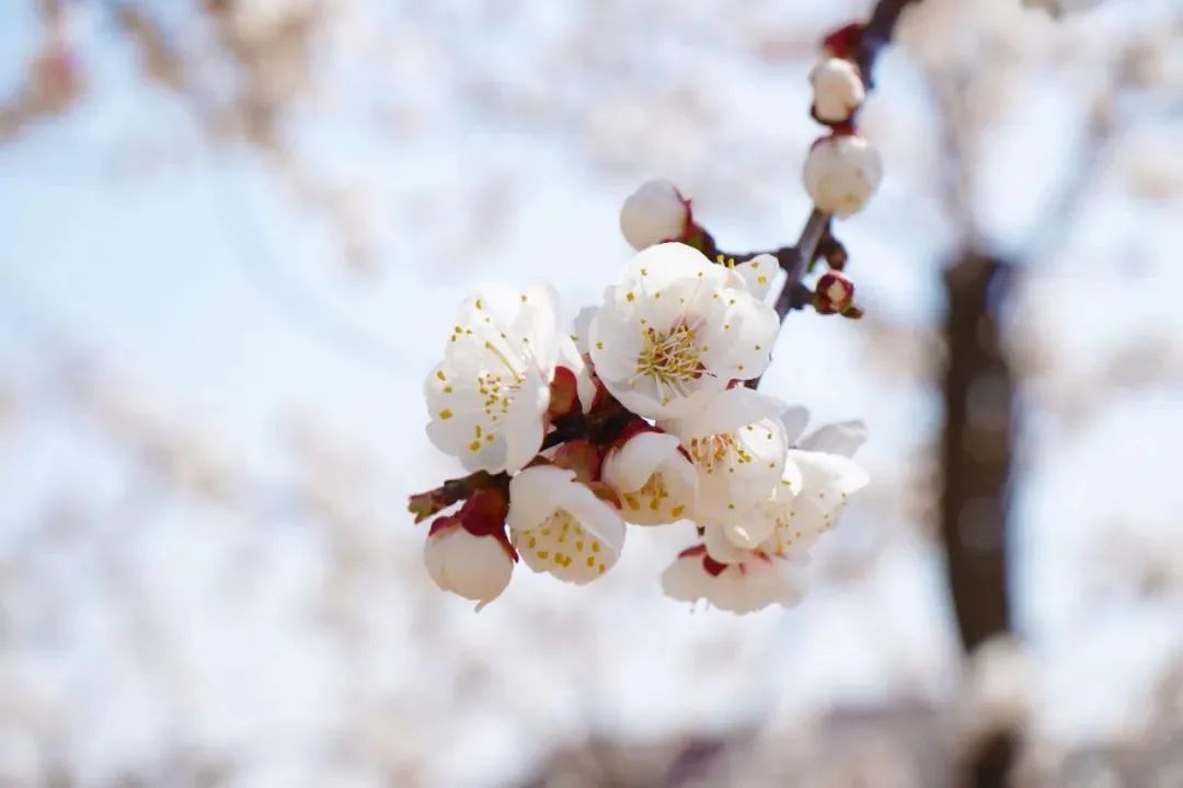 Ag亚洲集团(中国游)官方网站